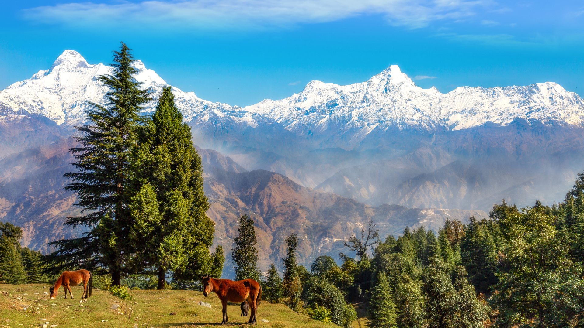 Uttarakhand Tour Packages